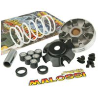 Variator Variomatik Malossi Multivar 2000 für Piaggio (98-) M.519019