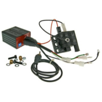 Steuergerät CDI Zündbox mit Spule Malossi K15 RPM Control für Piaggio (mit WFS) M.5513196