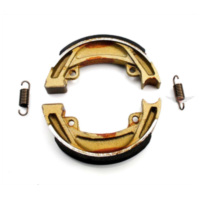 Bremsbacken mit Federn EBC 1 Satz 120 x 20 mm für Kreidler Florett RMC LF LH Mustang, Flory Flott, MF 12, 13, 23, 24 MG00003124