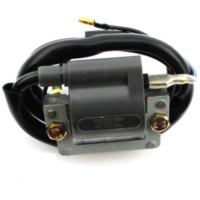 Zündspule extern für Hercules Prima, Puch Maxi, Zündapp Z Modelle MG00004163
