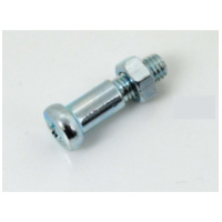 Retaining screw 1 piece shaft 6mm thread M5 length approx. 10mm for Zündapp GTS