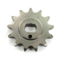 Chain sprocket Esjot 13 teeth pitch 420 for Florett 80cc MG00009145