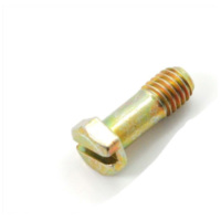 Screw for float cover for Bing carburetor for Hercules, Zweirad Union DKW, Sachs, Hercules GS, KTM Comet MG00067247