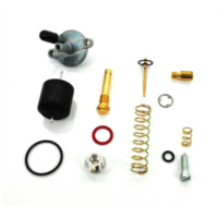 Vergaser Reparaturset für Sachs 50, Hercules, KTM, Rixe, Miele MG00067342