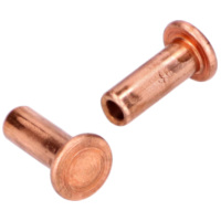 Tool compartment lock rivet set 2 pieces for Kreidler Florett RS, RM, RMC, LF, LH, egg tank MG00087230