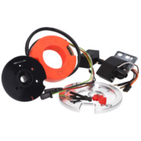 Polrad Innenrotor Zündung MVT Digital Direct mit Licht für Minarelli 2003- MVT-DD19