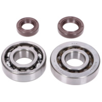Kurbelwellenlager Satz Naraku FKM Heavy Duty für Peugeot stehend Euro2 NK104.08
