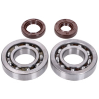 Kurbelwellenlager Satz Naraku SKF, FKM Premium C3 für Honda X8R NK104.24