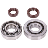 Kurbelwellenlager Satz Naraku SKF, FKM Premium C3, C4 Metallkäfig für Peugeot stehend Euro2 NK104.28