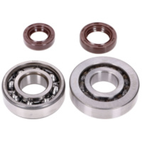 crankshaft bearing set Naraku SKF, for: FKM Premium C3, C4 metal cage for Peugeot vertical Euro2 NK104.28