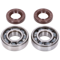 crankshaft bearing set Naraku SKF, FKM Premium C4 polyamide for Derbi EBE, EBS, D50B NK104.36