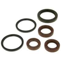 engine oil seal set for Aprilia, Gilera, Piaggio, Vespa Maxi NK167.04