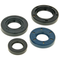 engine oil seal set for PGO new engine NK167.33