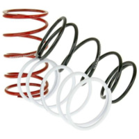 torque springs Naraku Sport V.2 - set of 3 pcs - for GY6, Kymco, Honda, Piaggio NK900.50