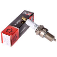 spark plug Champion RN9YC PI-438041