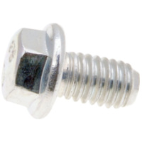 screw w/ flange OEM M6x10 PI-969296