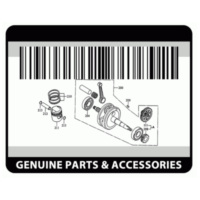 Kurbelgehäuse komplett OEM für Derbi GPR 50 Nude 06- PI-CM1503045