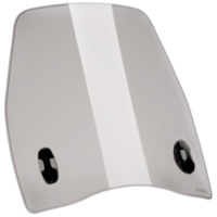 Windschild Puig Urban smoke für Piaggio 1 2022 PUI21188H