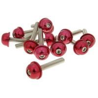 Bolzen Schraubensatz 12 Stück Alu-Kappe rot - M5x30 VC21218