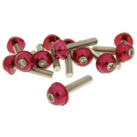 Bolzen Schraubensatz 12 Stück Alu-Kappe rot - M6x30 VC21227