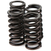 clutch springs VOCA Race for Minarelli AM6 VCR-RD19188.SP