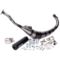 exhaust Yasuni R2 MAX PRO black for Aprilia RS 50, for: Yamaha MBK TZR 50, Rieju